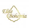 Точечный хрустальный светильник Еlite Bohemia L 004/0/60 N rubin